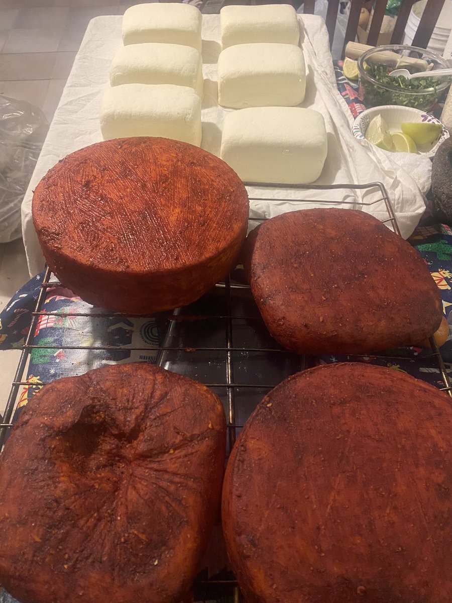 #artisancheese #quesoartesanal queso fresco from today and the “cheddar” I’m aging