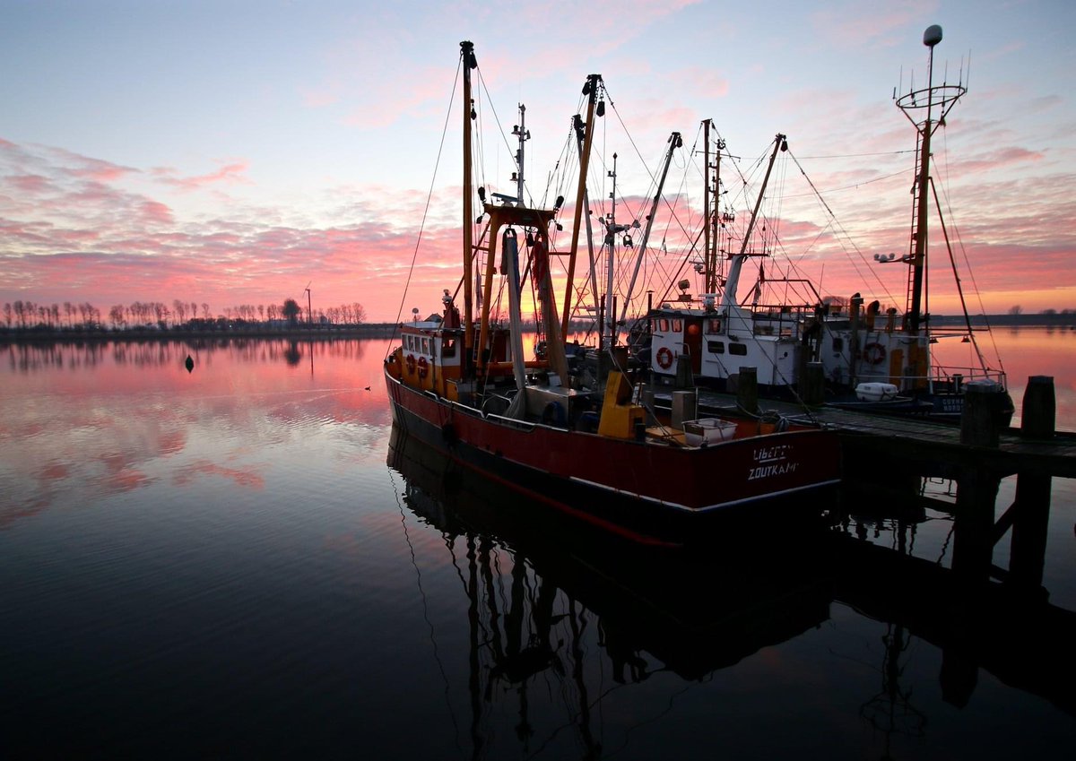 Mooigrunnen® tweet media