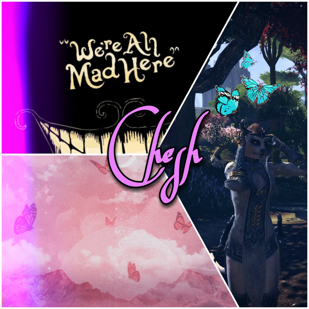 "We're all mad here~."