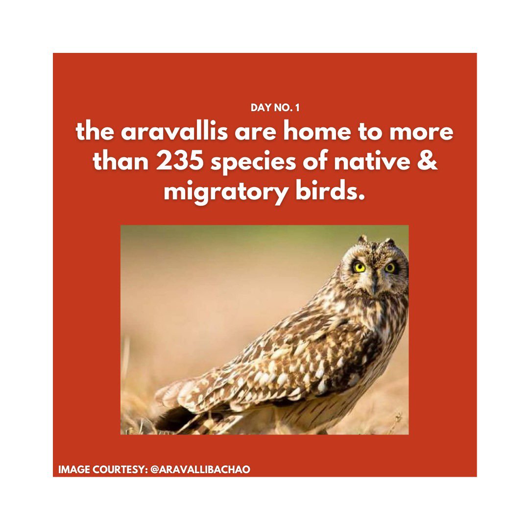 fff_gurugram's tweet photo. We are starting a month long daily fact series to raise awareness about the many wonders of the Aravallis. @ClimateActionGG @AravalliBachao @ZC_zenith @shalinivenugop2 @anu_p_d @sherryfrosh @BhavreenMK https://t.co/iSaNc492xI