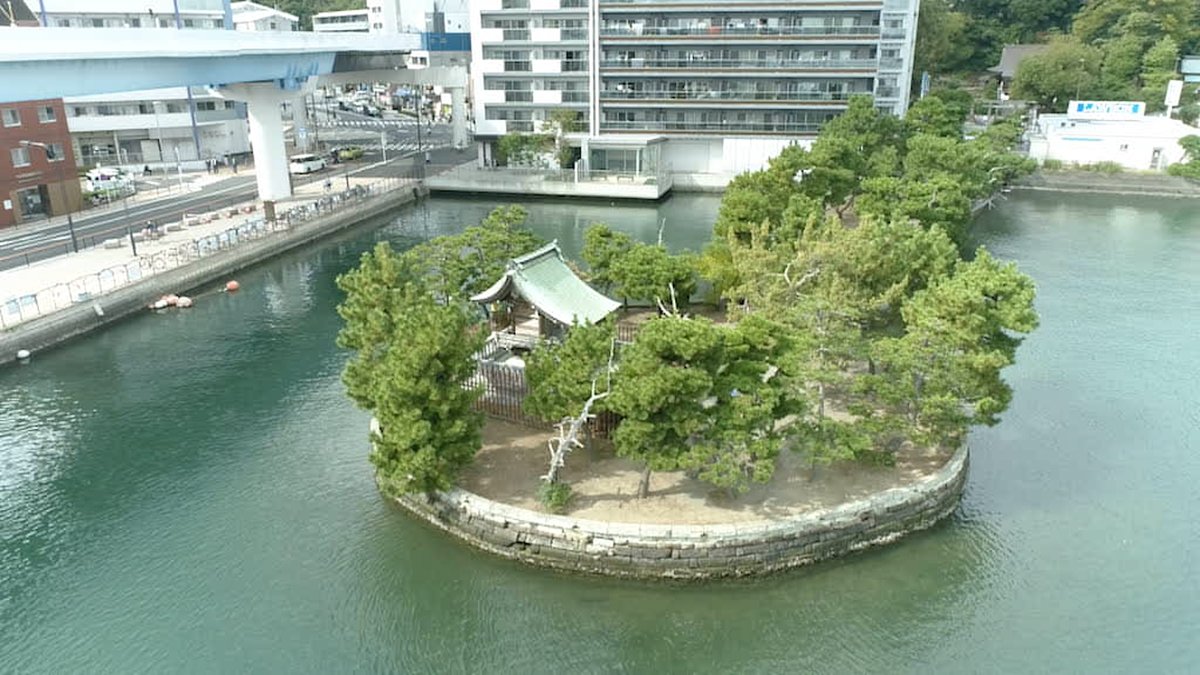 tabi_SUP's tweet photo. 神奈川県平潟湾での旅SUPは、「金沢八景」の風光明媚な景色と、SUPから眺める港町の雰囲気がたっぷり楽しめる内容です。美しい映像と心地よい音楽で心を癒しませんか？トコチャンエリアでは、毎週日曜日の朝7時30から放送。お楽しみに！

#田中律子
#SUP
#平潟湾
#金沢八景
#野島 
#神奈川
#ケーブル4K https://t.co/42mmHgwpXx