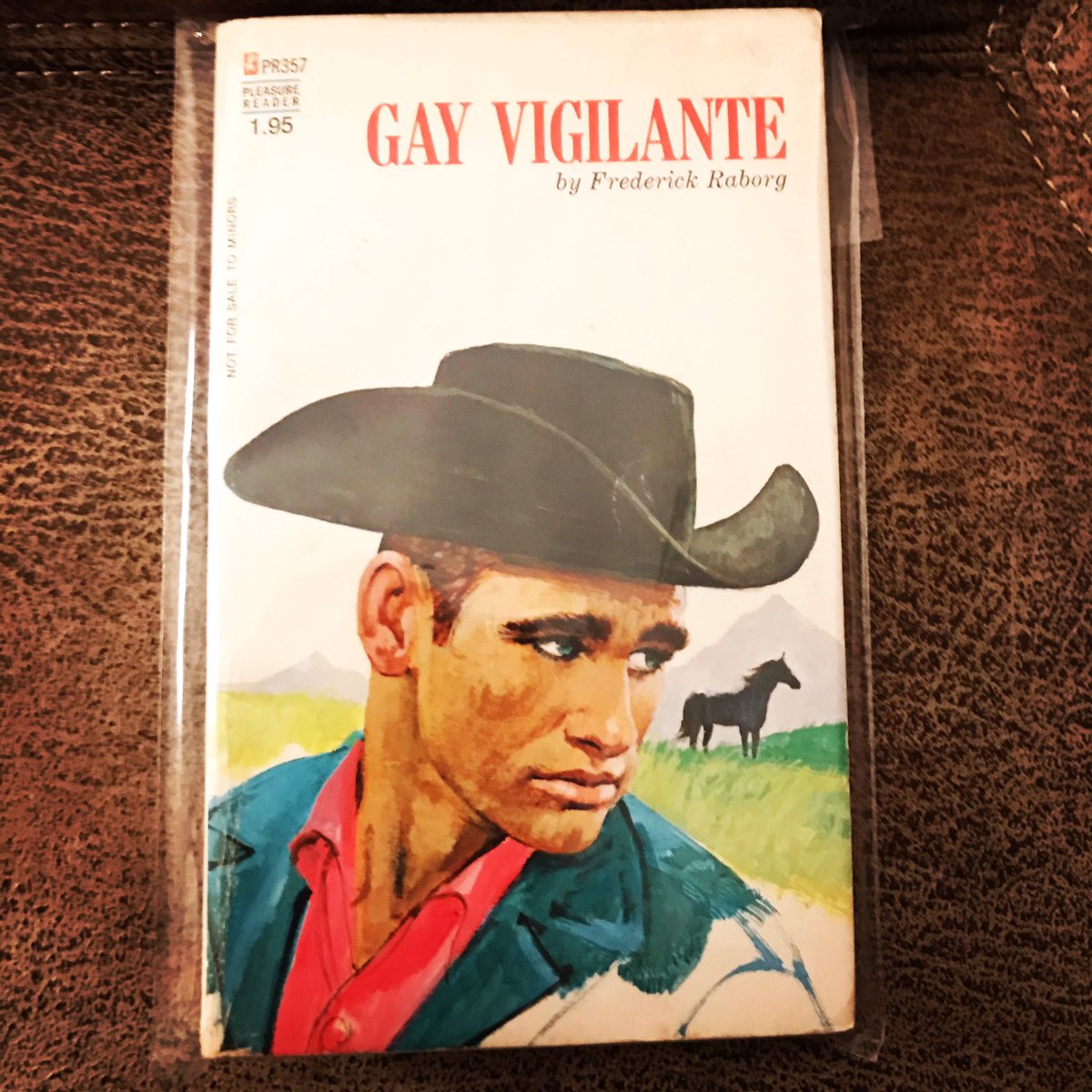 SpookyBooky8's tweet photo. Taking a break from spooky to enjoy the romantic escapades of this hunky cowboy, set in Gold Rush era California. Amazing cover art and a fun story to match. Circa 1972.
#gaypulp #queerlit #gayhistory https://t.co/LzFh4J7I86