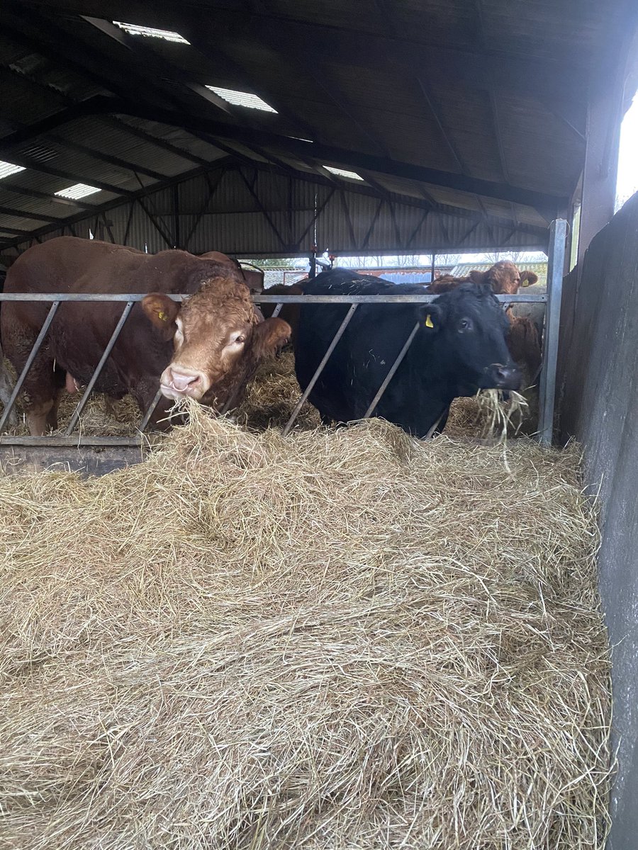 New neighbours at work.