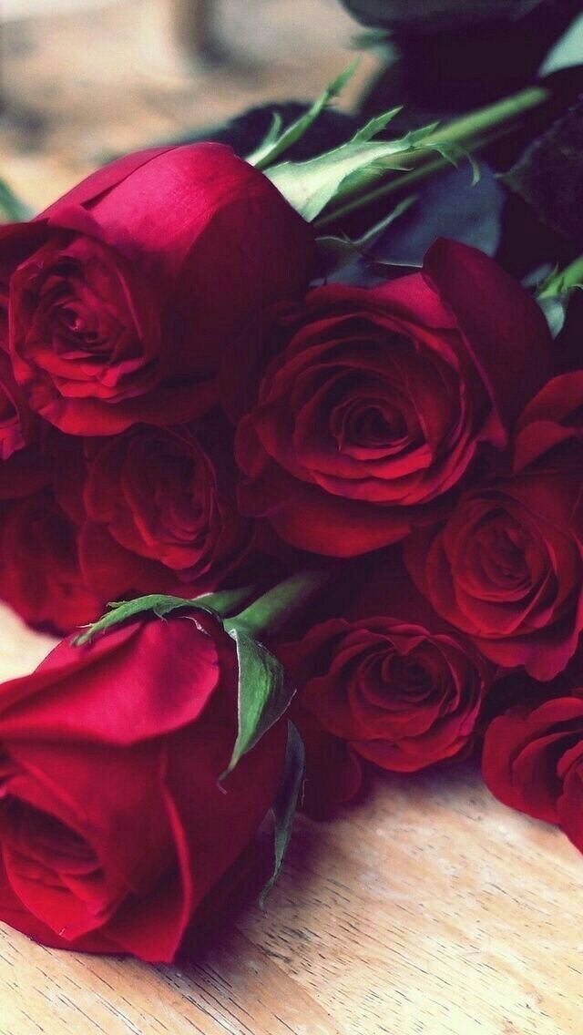 rawai3_adabiya's tweet image. إنَّ الكِرام وإن ضاقَت معيشَتُهُم
دامت فضيلتُهُم والأصلُ غلَّابُ

لِلهِ درُّ أُنَاسٍ أينما ذُكِرُوا
تَطِيبُ سيرَتُهُم حتَّى وإن غابُوا

ولَرُبَّ مكرُمةٍ جَمعَت شمائلَهُم
صارت لنا غيثاً يسرِي وَينسابُ
لا يعرِفون الشرَّ مقدَار أُنمُلةً
هُم دائماً أبداً لِلخيرِ أَسبابُ
علاء زايد