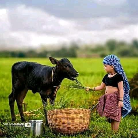 Shobhit44922221's tweet photo. जीवन भर किसी एक ही
व्यक्ति के
प्रेम में रहना

प्रेम की सबसे 
सुंदर
परिभाषा है.
----------
Shobhit 🙏🌻

#हिंदी_पंक्तियां
#हिंदीनामा https://t.co/IfEdu8SG6V