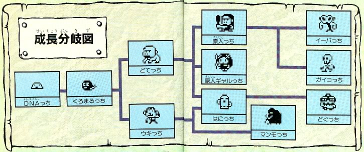 拾い絵です） 原人っちの分岐図はこうという説がありますが、ウキっち
