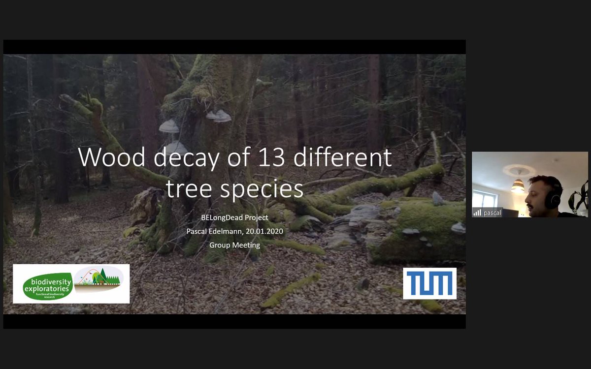 TerrEcolGroup's tweet photo. In today's group meeting, Pascal Edelmann showed us his preliminary results on wood #decomposition in eight years of #BelongDead experiment. @BExplo_de https://t.co/uqcwBjcFAm