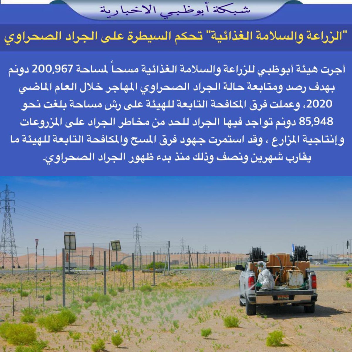 NET_AD's tweet photo. "الزراعة والسلامة الغذائية" تحكم السيطرة على الجراد الصحراوي
@adafsa_gov
#adasfa https://t.co/C6u9q1PWS4
