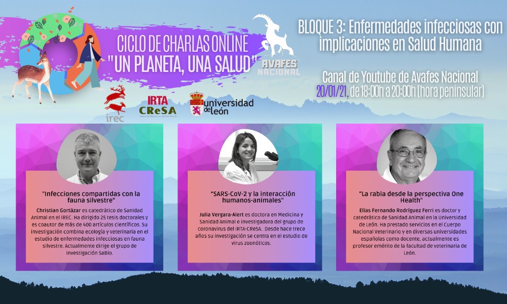 IREC_CSIC_UCLM's tweet photo. Continuamos nuestra colaboración en el ciclo de charlas online "Un planeta, una salud" organizado por #AVAFES ✅ Esta tarde a partir de las 18.00 h. la #Covid19 y la interacción entre humanos y animales, con @ChristianGortaz, en el siguiente enlace ➡ https://t.co/kRar6Skp5H https://t.co/mq8KE5KJIz