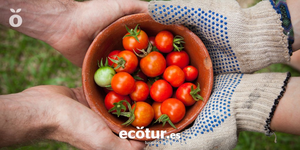 ecoturspain's tweet photo. 🤲🏻Nuestra materia prima son las personas.
💚La #RedEcotur aglutina experiencias de #ecoagroturismo diseñadas por personas que viven de la actividad y en las que intervienen otros actores para enriquecer la dinámica #local.
🏡Descúbrelas en https://t.co/o0DAlwaIIS https://t.co/da7eOUKqJ5