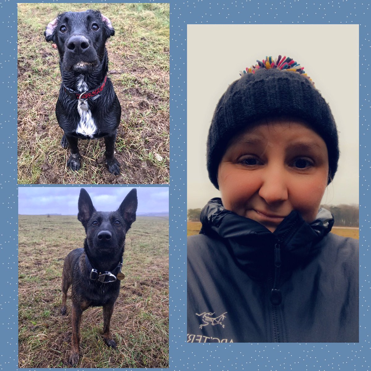 AwesomeSpaz12's tweet photo. Currently wetter than an otters pocket! 🦦☔️ But they had fun, so....🤷♀️ #beadoghandlertheysaid 😂😂😂 #flapfactor10 on the #Span-ometer #’demEars ❤️ #restdayrun #restdaysarethebestdays #workharderplayharder 👊💪🐾 https://t.co/9tq8UGhY83