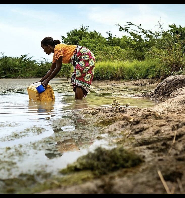 ebjallow3's tweet image. 