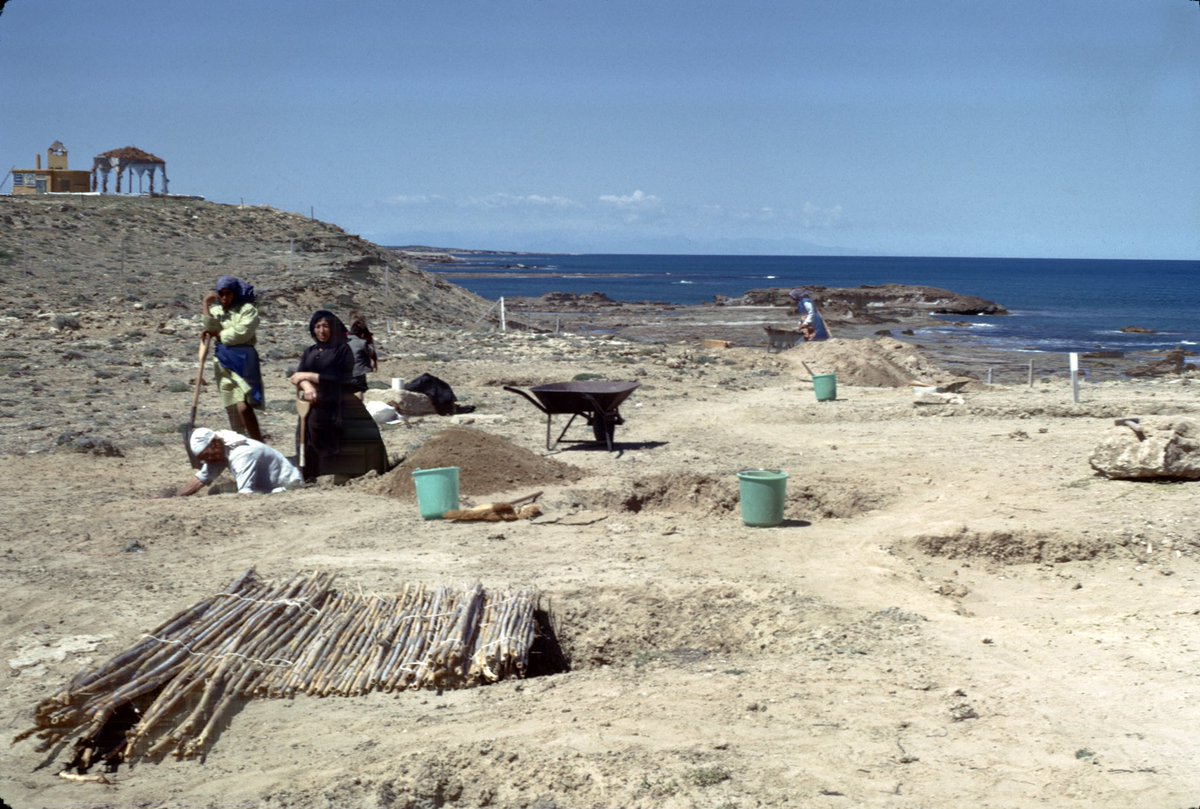 The Necropoli a mare reloaded! Happy to share a new paper on the old Italian Project at Ayia Irini, Cyprus, just published in the Annuario <a href="/SAIAtene/">Scuola Archeologica</a>