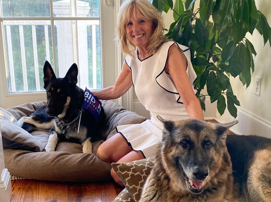 Ok puppers!!! 
It’s time! 
Time to get excited! 
Wag our tails and bark at Noon Today. 
Today, there will be dogs back in The White House!!! #Dogs #Canine #Major #Champ 
Welcome Home Major & Champ
@DrBiden @JoeBiden @firstdogsusa #FirstDog #FirstDogs @orlandoribbons 
❤️🐶🌈