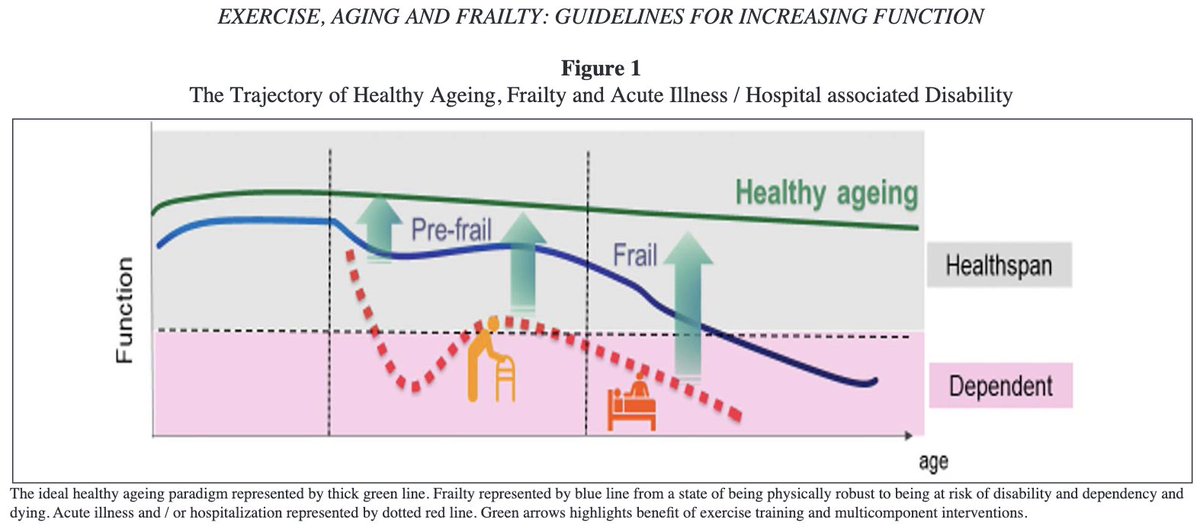 mikelizquierdo_'s tweet image. 📢🔝Our latest research on #Exercise, #Musclefunction and #Frailty:

🏋️‍♂️🚶‍♀️Exercise has not become fully integrated into usual primary or geriatric medicine Practice and is still virtually absent from the core training of most healthcare professionals.

📰link.springer.com/article/10.100…