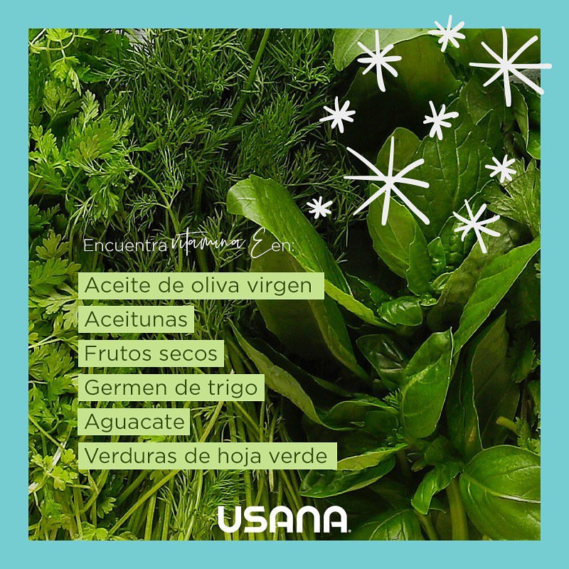 Romeo_Raul's tweet photo. ¿Sabías que la vitamina E está relacionada con su acción antioxidante?, de modo que ayuda a mantener tu cuerpo sano y a retrasar su envejecimiento. 🤔✨
#USANA #USANAMéxico #VitaminaE #aceiteoliva #aceitunas #verdurashojaverde #styleusana #ComparteUSANA #LiveUSANA https://t.co/zfh0HYQpAD