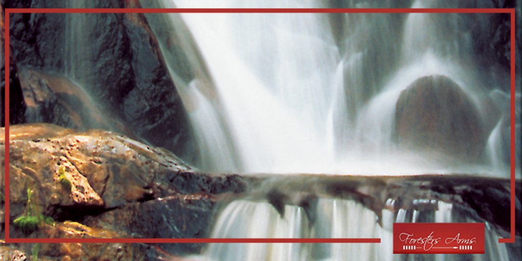 ForestersArmsSD's tweet photo. Achieve tranquillity at #ForestersArms hotel🌲 #eSwatini Book your stay with us by clicking here 👉 https://t.co/1ptGXtBZDg https://t.co/fdLSp2P2OI