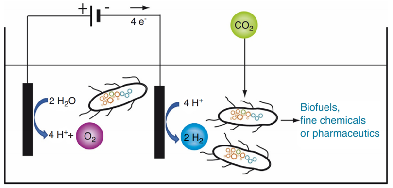 LarsLauterbach's tweet photo. We are happy to participate in the new @dfg_public priority program β#eBiotechβ. Looking forward to our project about βDesign of an #electrochemical bioproduction system for #piperazinesβ together with @apfel_lab and B. Nestl! @H2ASE_NEWS #electrolysers #CO2 #H2 #bioeconomy https://t.co/mwDP6bi3PC