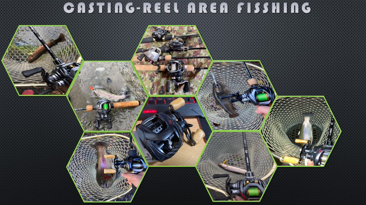 the-allow【放牧】　想定→中山GJ tweet media