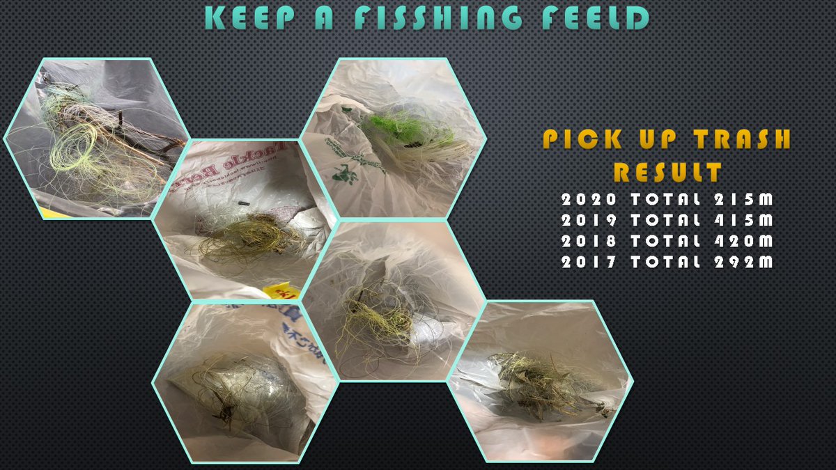 the-allow【放牧】　想定→中山GJ tweet media