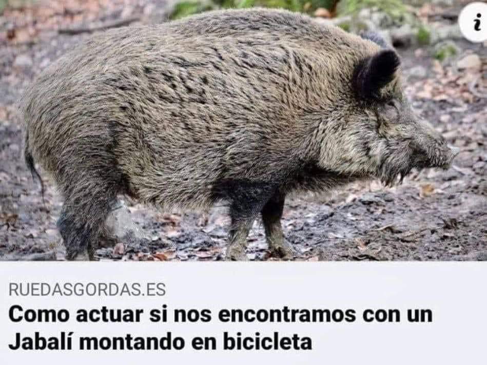 Formalito_el's tweet photo. Creo que si viene por la derecha tienes que dejarlo pasar. https://t.co/yakoQjlxMb