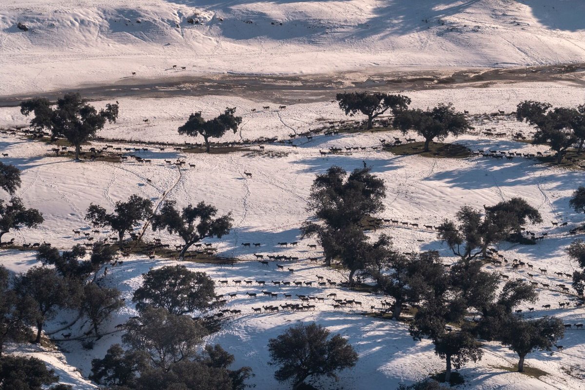 Fujifilm España tweet media