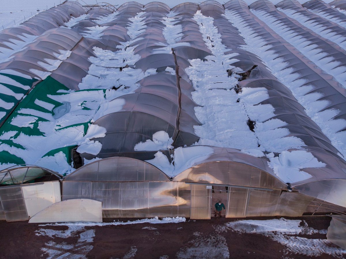 Fujifilm España tweet media