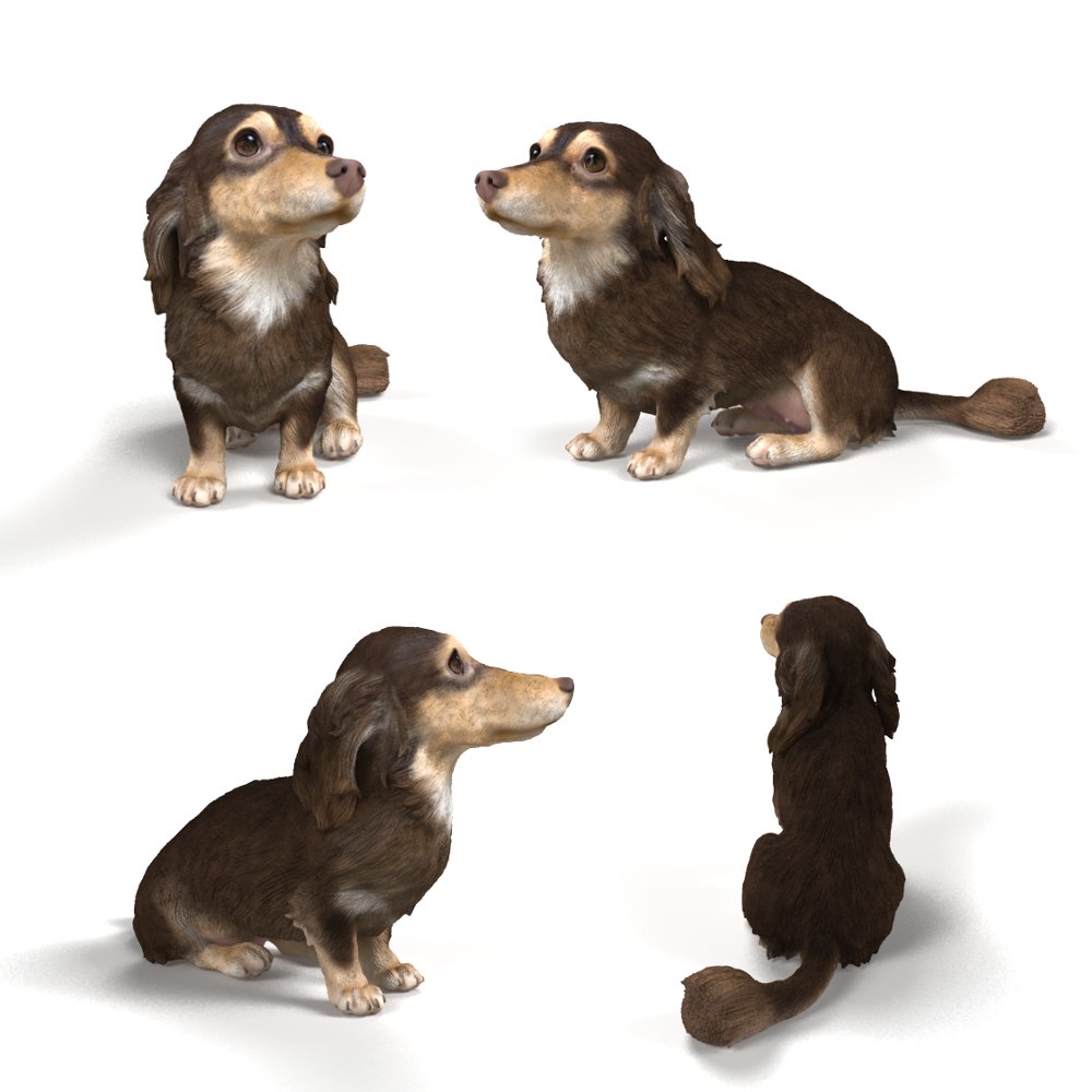 3dpetshop's tweet photo. #ミニチュアダックスフンド のココちゃん。
上目遣いが特に可愛らしく、瞳の美しさの再現は特に注力しました！！
#miniaturedachshund
#愛犬 #犬 #dog
#フィギュア #3dfigure #figure
#3dプリンター #3dprinter
#3dcg #design
#pet #ペット
#犬好き
#ilovedog
#犬好きさんと繋がりたい
#3DPETSHOP https://t.co/dzOD04VlQ8