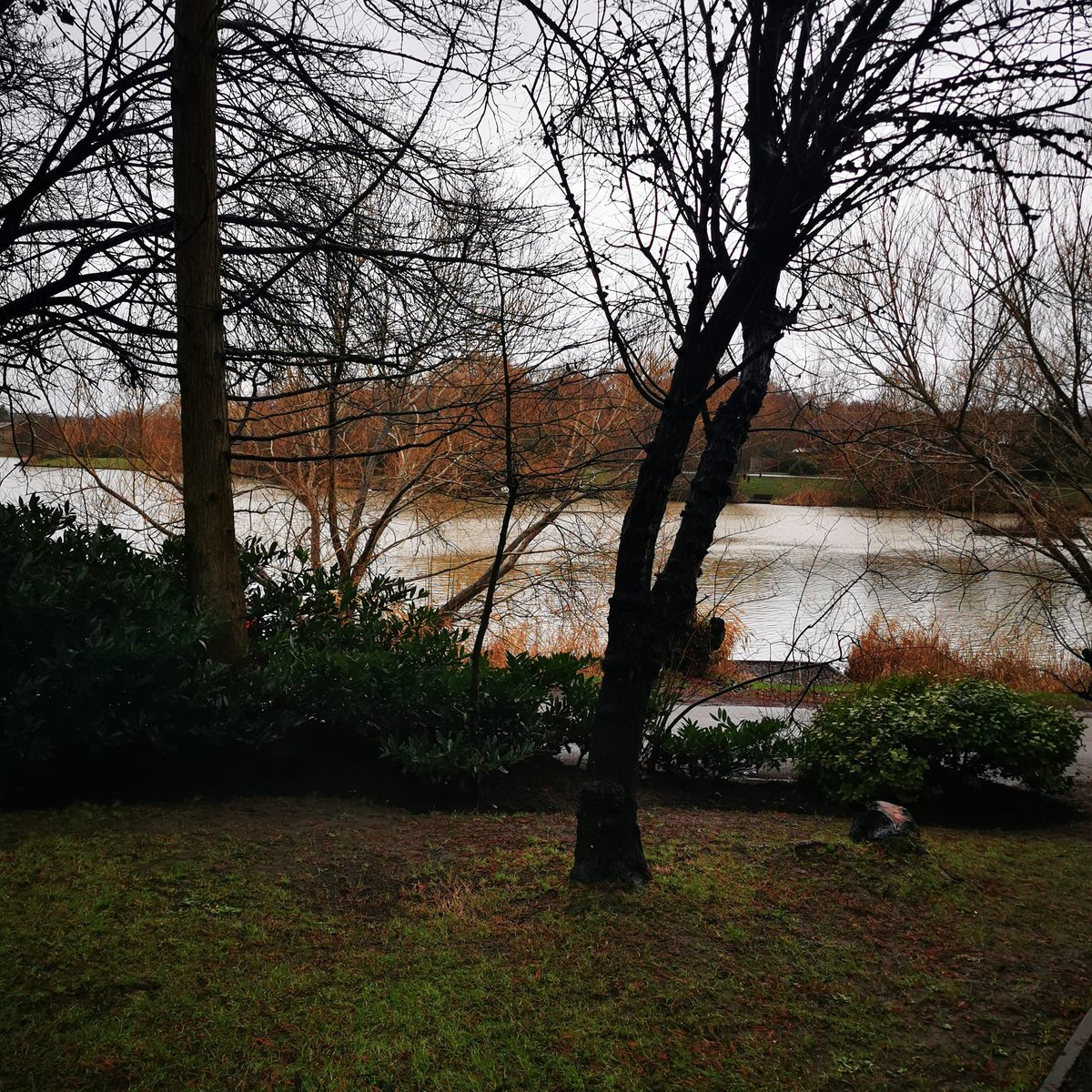 Shane_JasperWB's tweet photo. Most would walk outside , see this and think gosh its dull today.

I see and feel nothing but beauty.

#mindset #mindfullness #meditation #spiritualawakening #practice #monkeymind #jasperwellbeing #wellbeing_warrior #jaspertribe #wellnessjourney #bodhi #uk #healthylifestyle https://t.co/5BoTlMeIwT