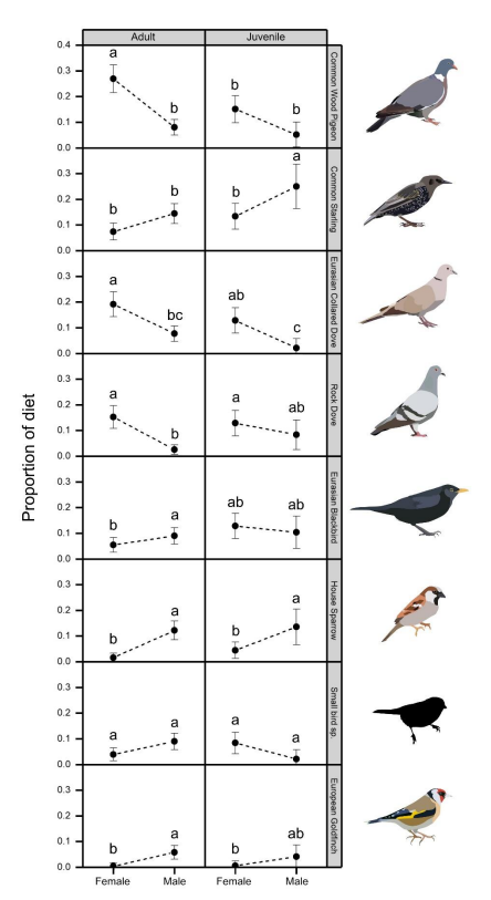 There were 12 prey items that had a frequency ≥ 10; for these species, we examined statistical differences between the sexes and ages. Significant differences were found for eight of these 12 key prey items between either sex, or age, or an interaction between sex and age