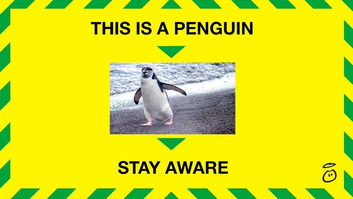 innocent's tweet photo. Today is Penguin Awareness Day. Please be aware of penguins.

#PenguinAwarenessDay https://t.co/sbbym02ThY