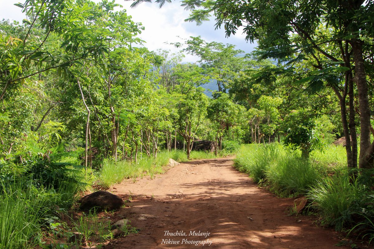 nikiwemtema's tweet photo. A breather 💙🍃
#destinationmalawi #naturephotography #nikiwephotography https://t.co/mDP9B0Dlm4