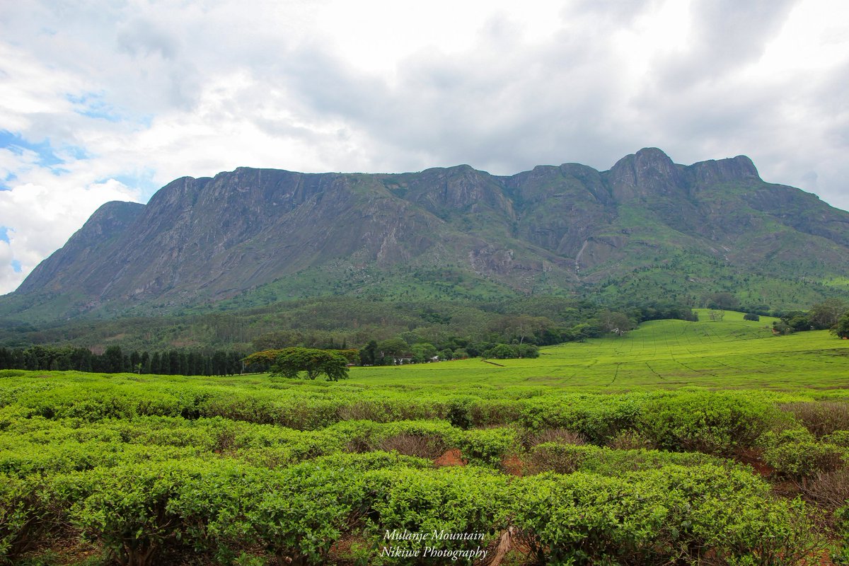 nikiwemtema's tweet photo. A breather 💙🍃
#destinationmalawi #naturephotography #nikiwephotography https://t.co/mDP9B0Dlm4