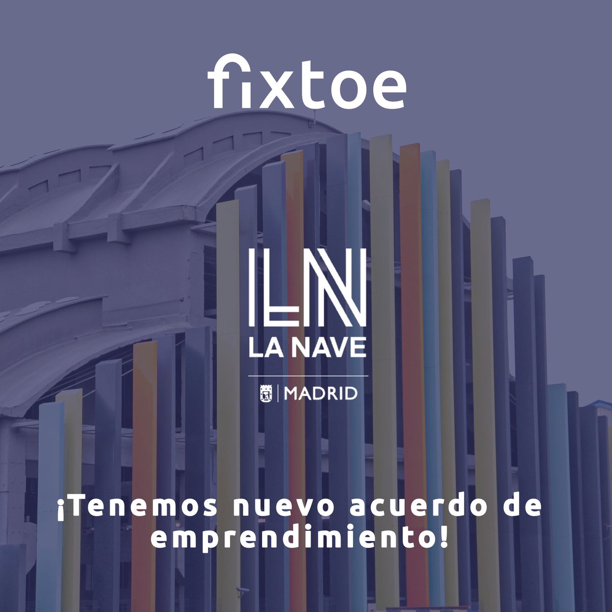 Fixtoe Company tweet media