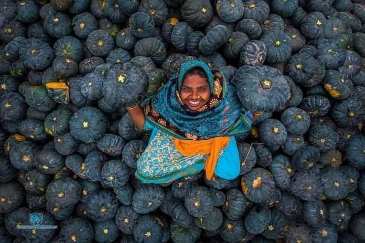 mishra_surjya's tweet photo. For the food on our plate, thank a farmer
#StandWithFarmers https://t.co/zOg5qMdnYg
