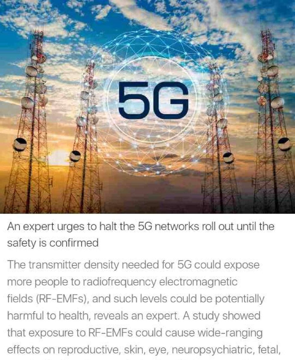 Dr. Eric Ben Berko (@ericbenberko) on Twitter photo 