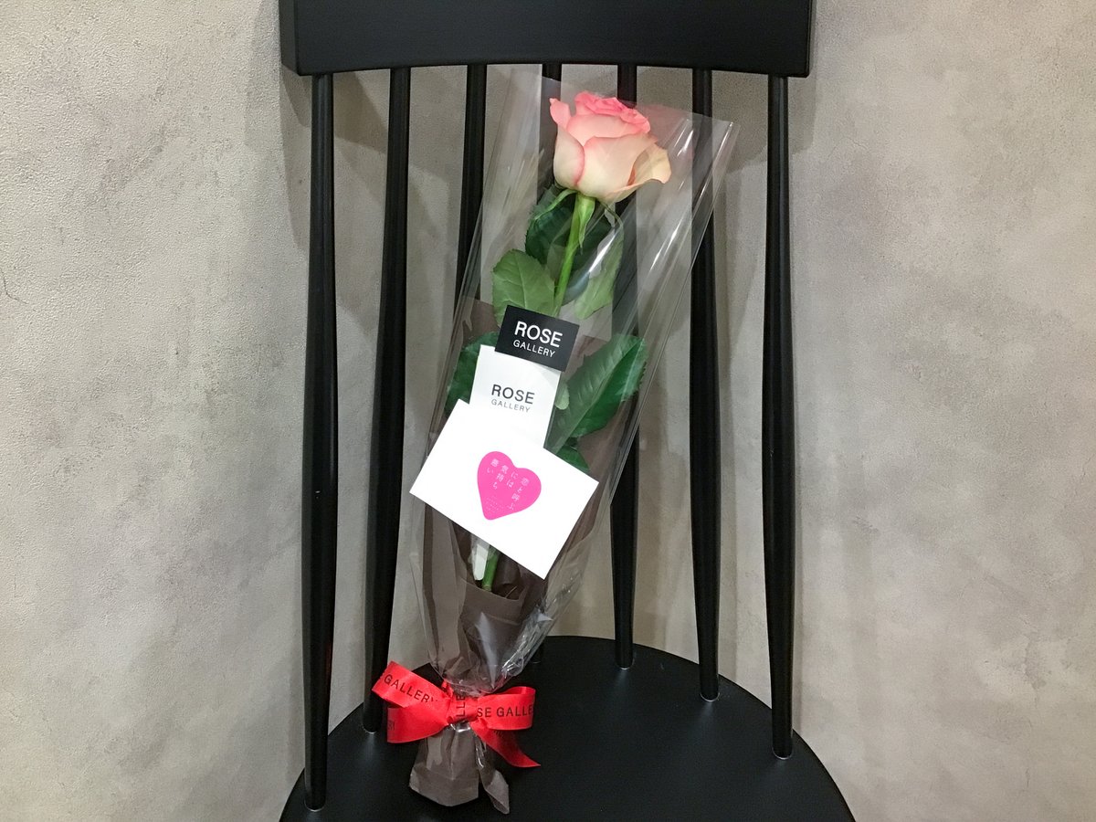 Tvアニメ 恋と呼ぶには気持ち悪い 一日一花 本日は白とピンクのコントラストが美しいこちらの品種です まるでドレスのようですね By亮 今回の薔薇 ジュミリア 恋きも