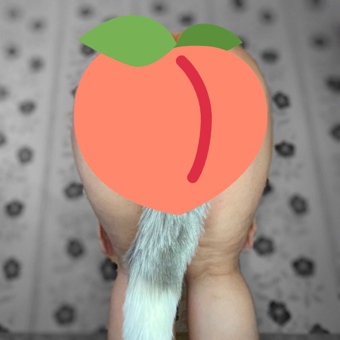 Wagging my tail ❤️  https://t.co/eZtZxYBT9o https://t.co/PDU4LFI1NY<a href="/tag/pornhub"class="tags"><span>#pornhub</span></a><a href="/tag/trans"class="tags"><span>#trans</span></a><a href="/tag/lewd"class="tags"><span>#lewd</span></a>