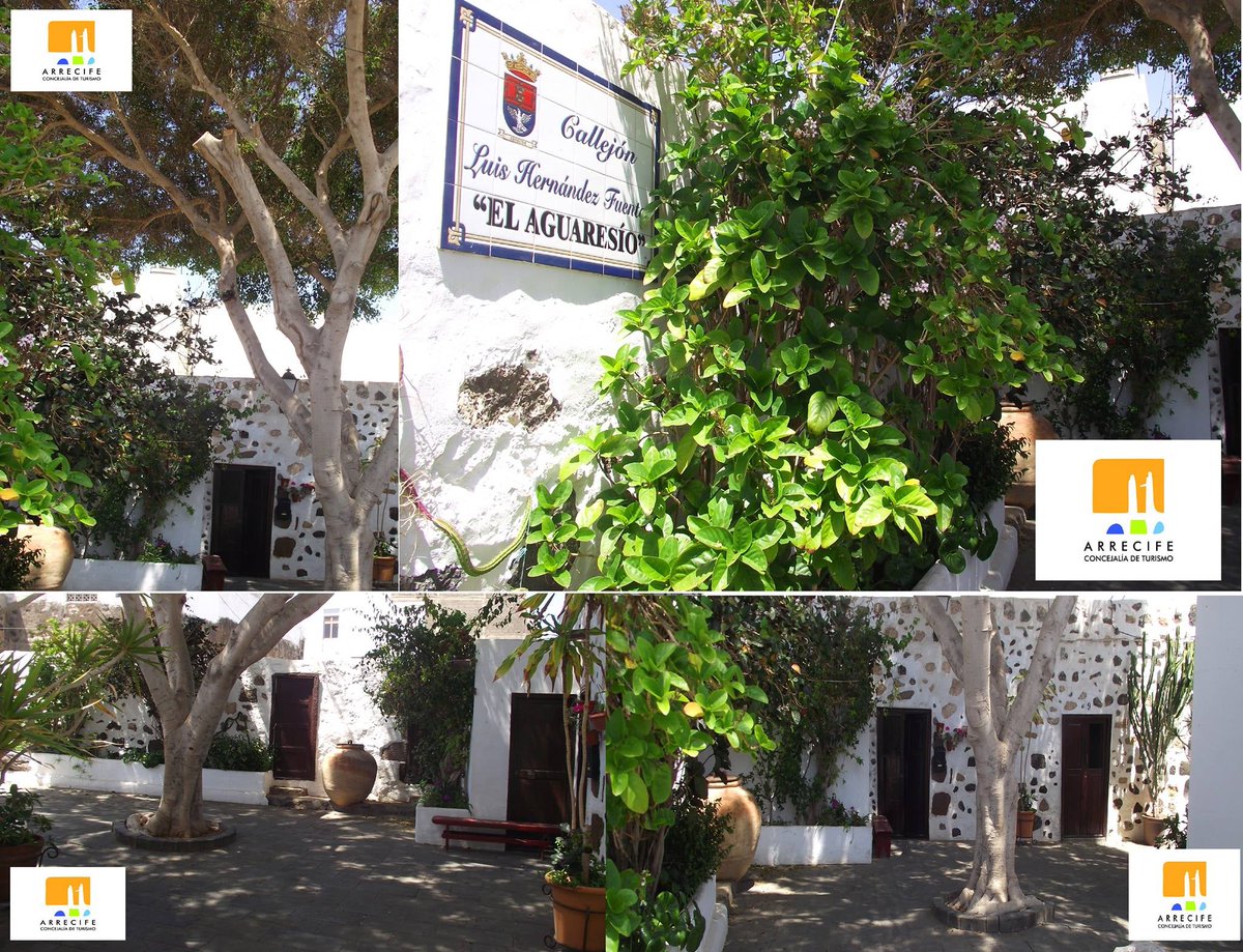 🇪🇸 Buenos días! Arrecife - Lanzarote
🇬🇧 Good morning! Arrecife - Lanzarote
🇩🇪 Guten morgen! Arrecife - Lanzarote
(Callejón El Aguaresío)
#arrecife  #lanzarote  #islascanarias  #canaryislands