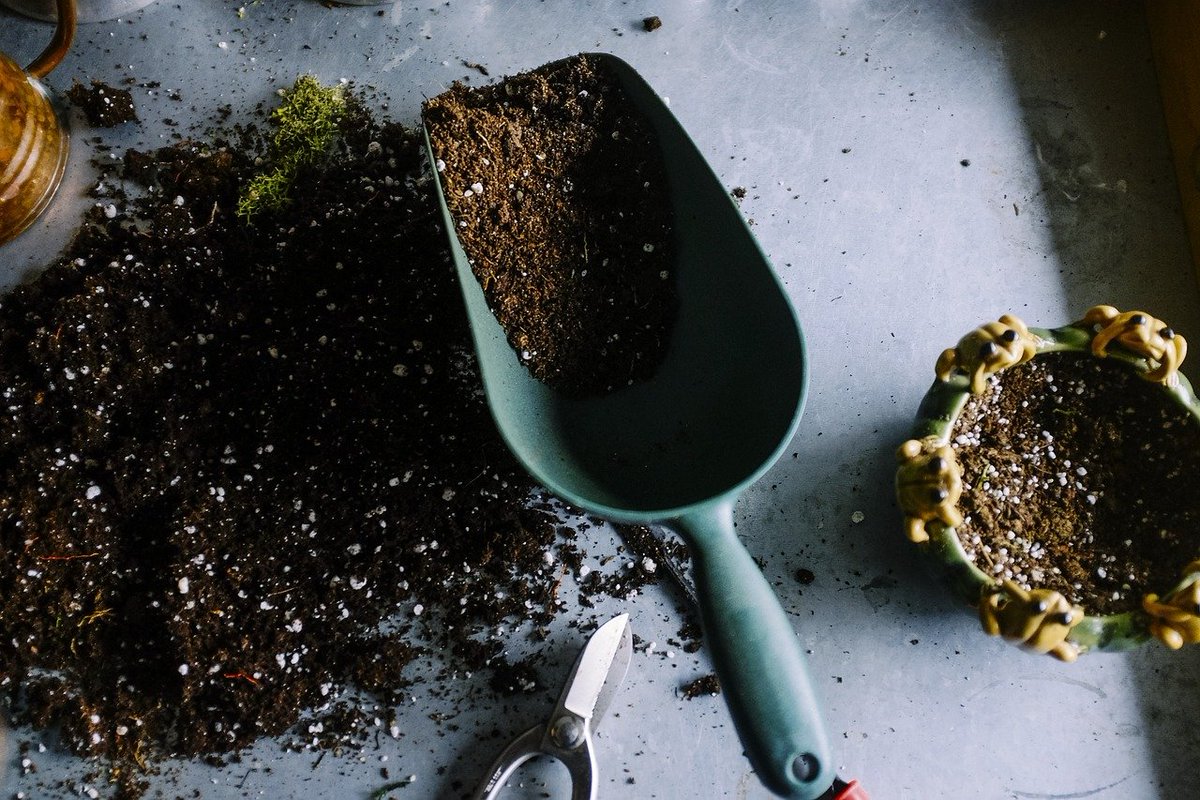 British Society of Soil Science (@soil_science) on Twitter photo Our next Zoom into Soil session, 'How does Organic Matter become #Soil #Organic Matter?' will take place on Wednesday 3 February from 12-1pm GMT. With invited speakers Tom Sizmur <a href="/UniofReading/">Uni of Reading</a> and Julian Gold <a href="/agricology/">Agricology</a>. More here: soils.org.uk/news/zoom-into… Our next Zoom into Soil session, 'How does Organic Matter become #Soil #Organic Matter?' will take place on Wednesday 3 February from 12-1pm GMT. With invited speakers Tom Sizmur <a href="/UniofReading/">Uni of Reading</a> and Julian Gold <a href="/agricology/">Agricology</a>. More here: soils.org.uk/news/zoom-into…
