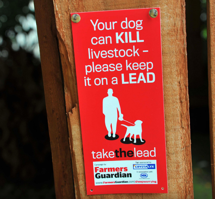 Our #TakeTheLead signs are still available. Please send a stamped, self-addressed A4 envelope to
FG Take the Lead, Farmers Guardian,
Unit 4, Fulwood Business Park,
Preston, Lancashire,
PR2 9NZ
Include 3no 1st Class or 2nd Class stamps on to cover postage costs. Maximum 25 signs.