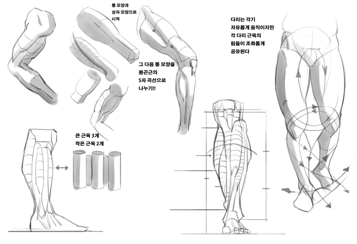 디지털 일러스트레이터를 위한 해부학에 나왔던, 인체의 각 부위들이 만들어내는 호를 크로키에 응용해보기로했습니다.
호를 안긋고도 잘그려낼수 있으면 좋겠지만, 깔끔한게 중요한게 아니니까 최대한 배운것을 사용하는걸로! 자료는 책을 직접 올릴순없어서 제가 모작했던것으로 올립니다. 