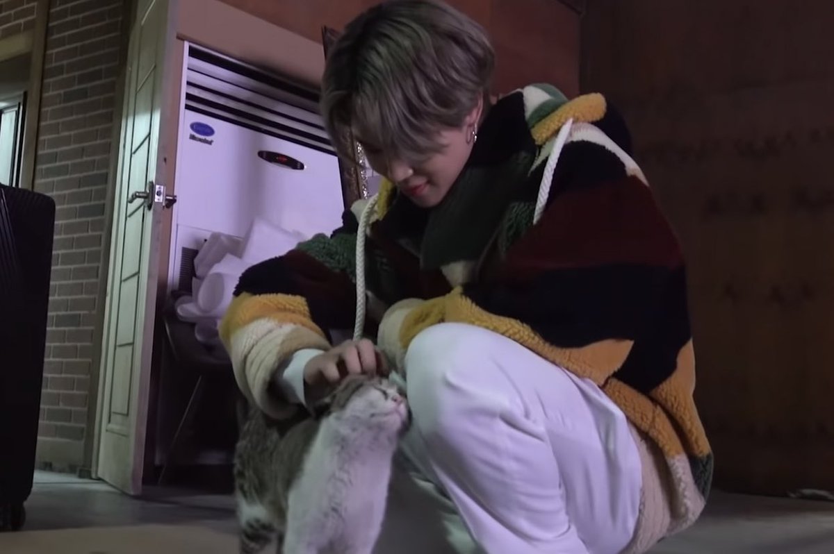 TaehyungPingu's tweet image. Imagine having such good energy and presence that even when cats are around you they’re all “yes.. yes I am very much in love with you 💕”