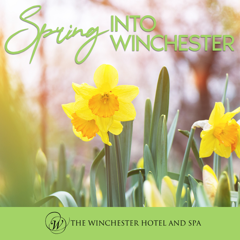 Spring into Winchester, and enjoy a city escape! We have a wide range of offers available to suit every traveller, from our Heritage Breaks through to our Luxurious Spa Escape.

You can view ALL OF THESE on our special offers page here - ow.ly/Y6VS50Ddcvu

#Winchester