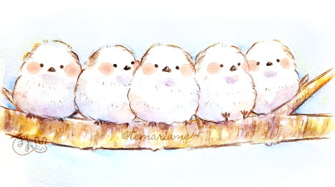 シマエナガの日のtwitterイラスト作品