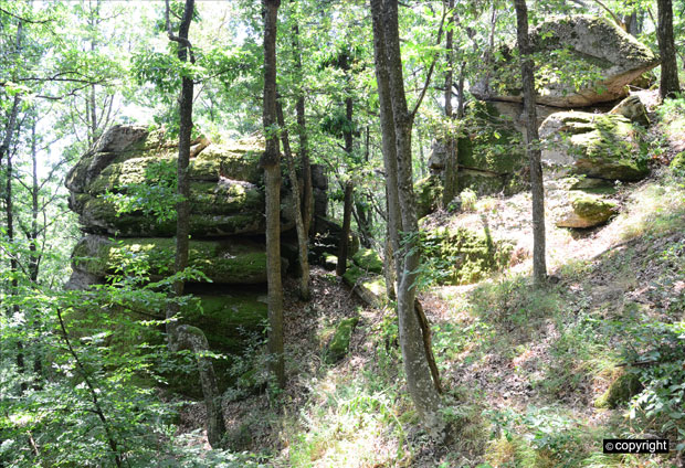 MilanSremac's tweet image. ~Занимљивост:
На планини Јухор налази се врх Велики Ветрен,са каменим структурама које мештани зову Ђавољи град.  Сачувано је предање о 14 мрачних коњаника,који са маглом силазе са планине и отимају девојке
Они гракћу као гавранови,који се у локалном наречју српског називају-гали