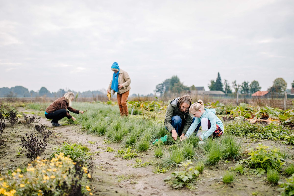 Op 27 januari wordt <a href="/aardpeer/">Aardpeer, samen voor grond</a> gelanceerd. Doel is landbouwgronden voor minimaal 7 generaties veiligstellen en een transitie naar een sociale en natuurvriendelijke voedselketen. Toegang tot betaalbare grond is een belangrijke sleutel. herenboeren.nl/2021/01/20/lan…