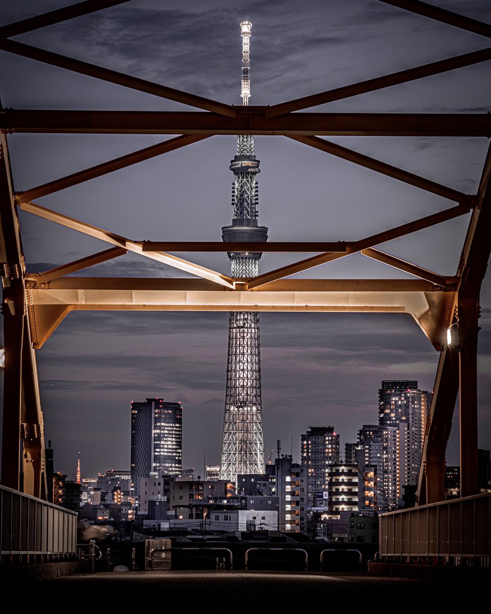 どっちも好きな東京のシンボル😌