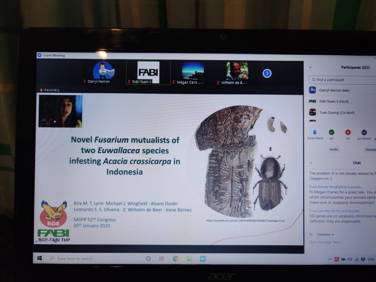 The Beatles - I wanna hold your Fusarium

Could be a good song! @KiraLyn45100239

It's another talk on Fusarium! This time with beetles! #SASPP2021 #iyph2020