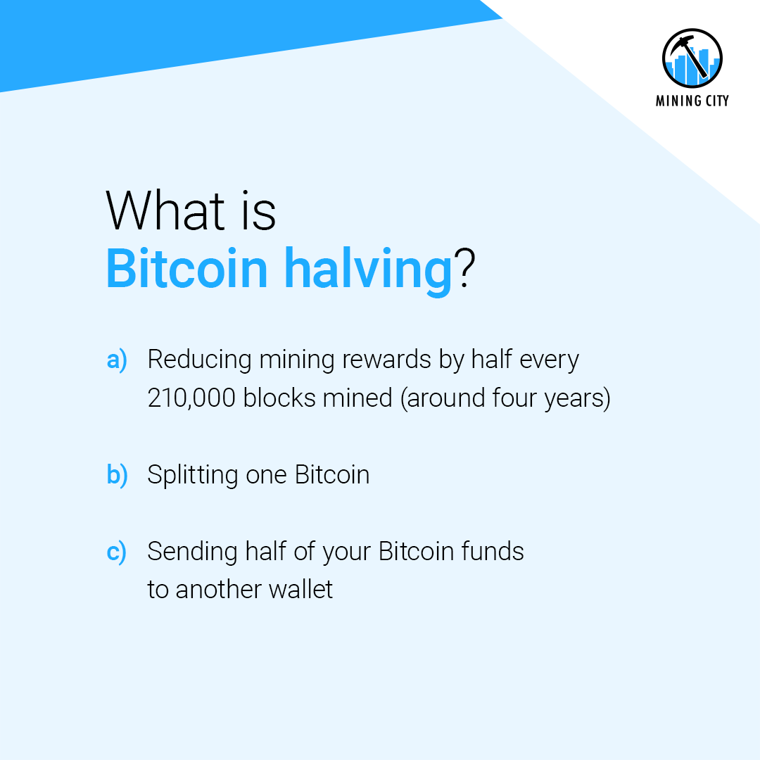 Mining City tweet media